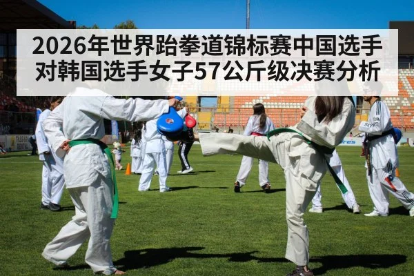 taekwondo kick competition